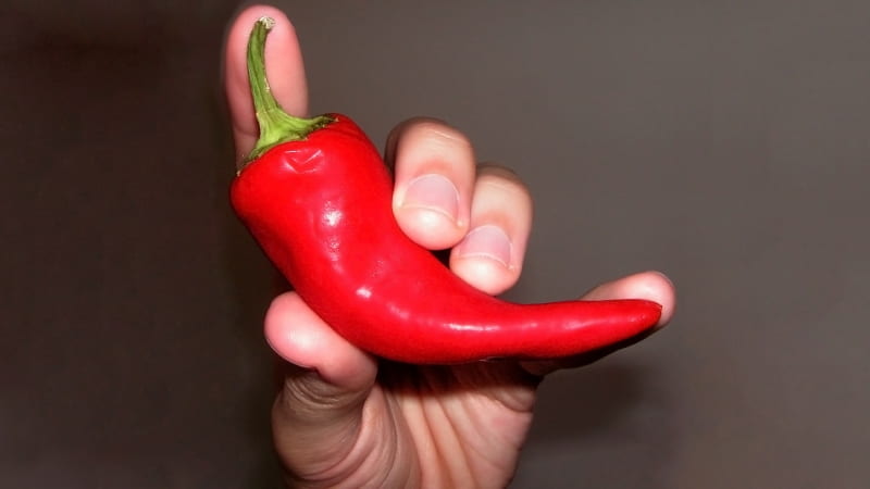 red chili pepper